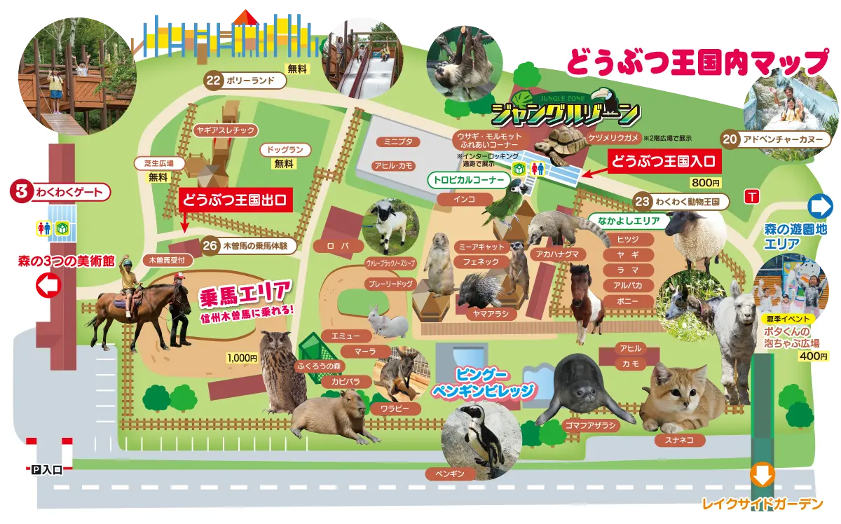 白樺 湖 ファミリー ランド