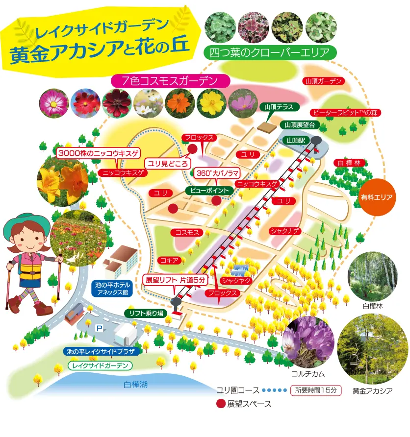 黄金アカシアと花の丘 展望リフト 池の平ファミリーランド 公式hp