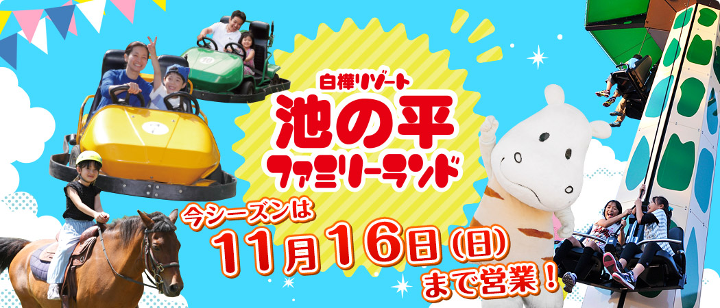 11月16日（日）まで営業