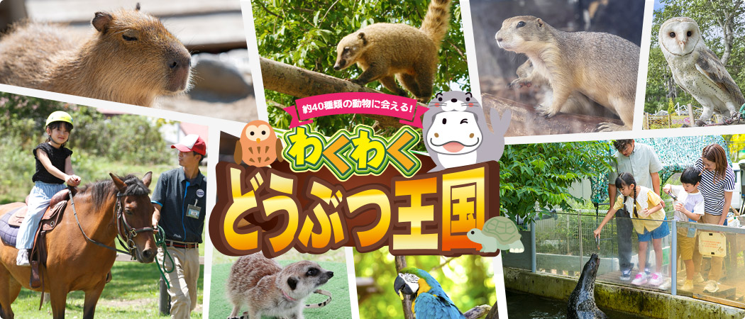 わくわくどうぶつ王国