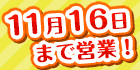 11月16日（日）まで営業