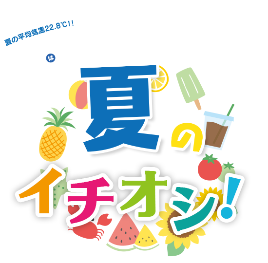 夏のイチオシ