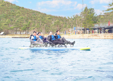 4人乗りFIESTA