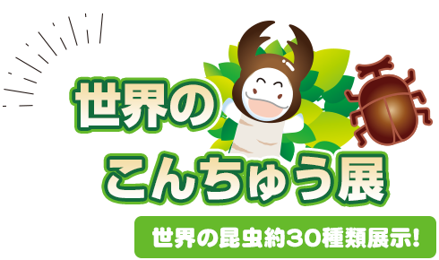 世界のこんちゅう展