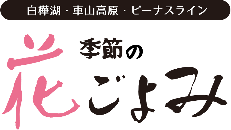 季節の花ごよみ 