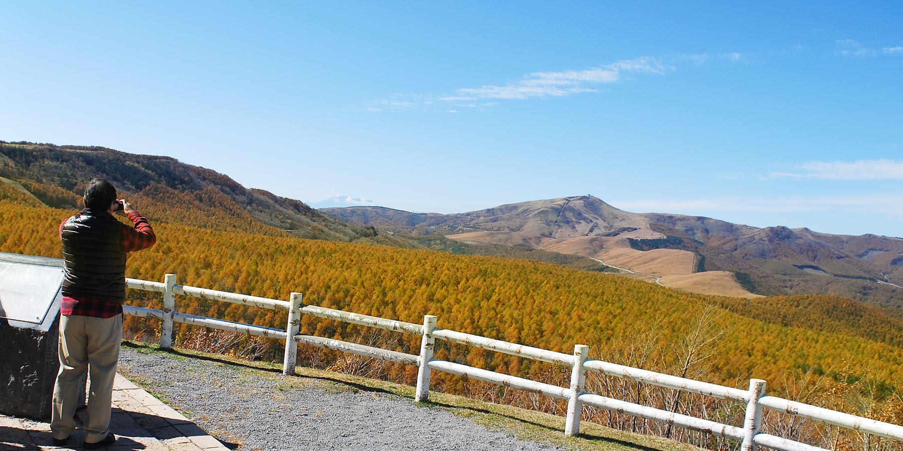 夕陽の丘 カラマツの黄葉