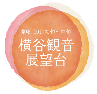 横谷観音展望台