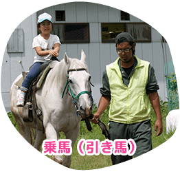 乗馬（引き馬）