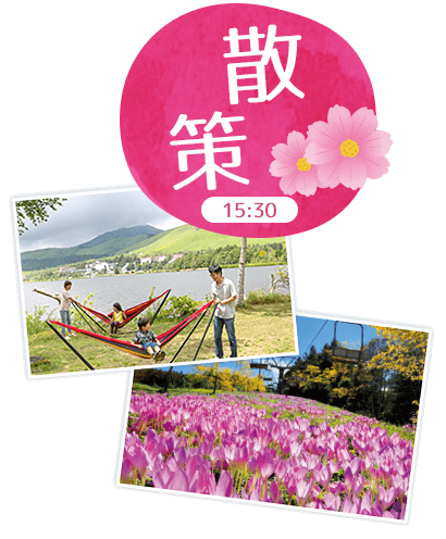 散策