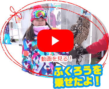 ふくろうを乗せたよ！　動画を見る！