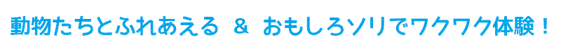 動物たちとふれあえる ＆ おもしろソリでワクワク体験！