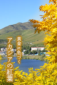 自然