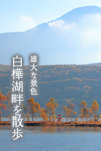 白樺湖畔を散策