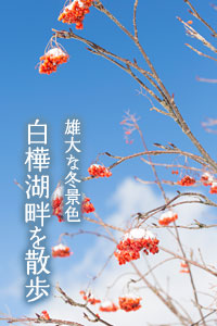 白樺湖畔を散策