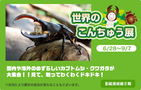 昆虫広場
