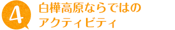 白樺高原ならではのアクティビティ