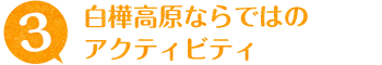 白樺高原ならではのアクティビティ