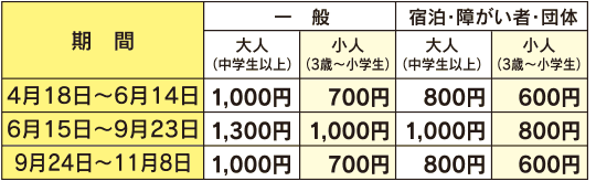 料金表