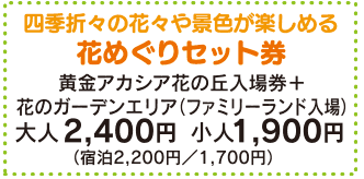 セット料金