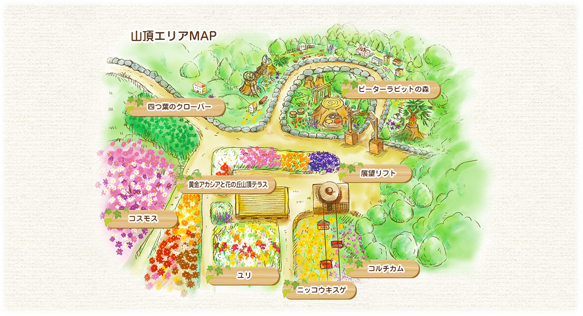 黄金アカシアと花の丘マップ