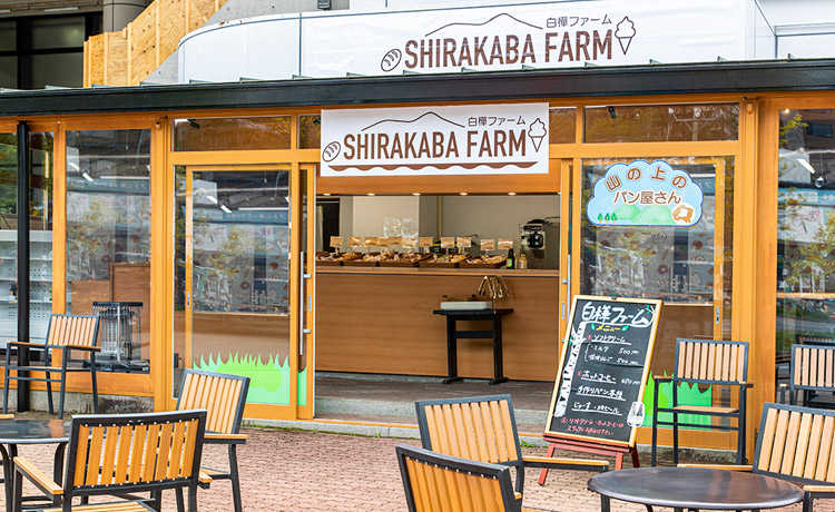 白樺ファーム