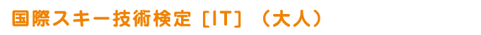 国際スキー技術検定 [IT] （大人）