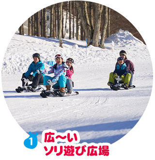 広～いソリ遊び広場